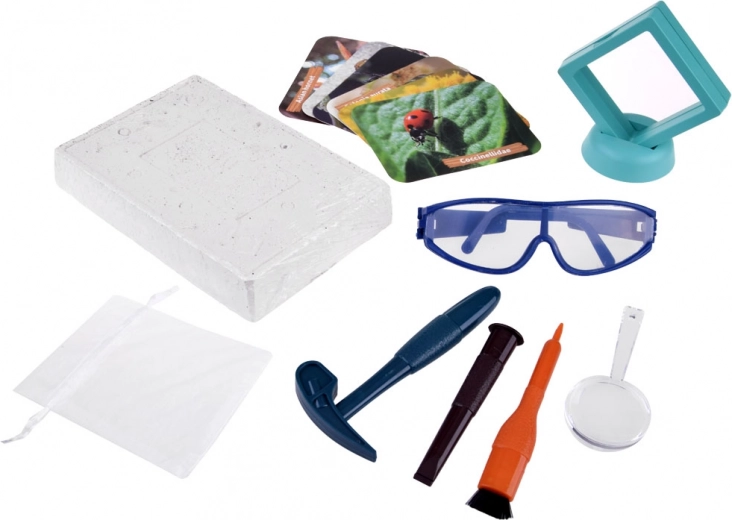 Una experiencia de excavación auténtica