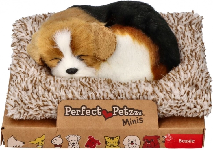 Beagle durmiendo realista