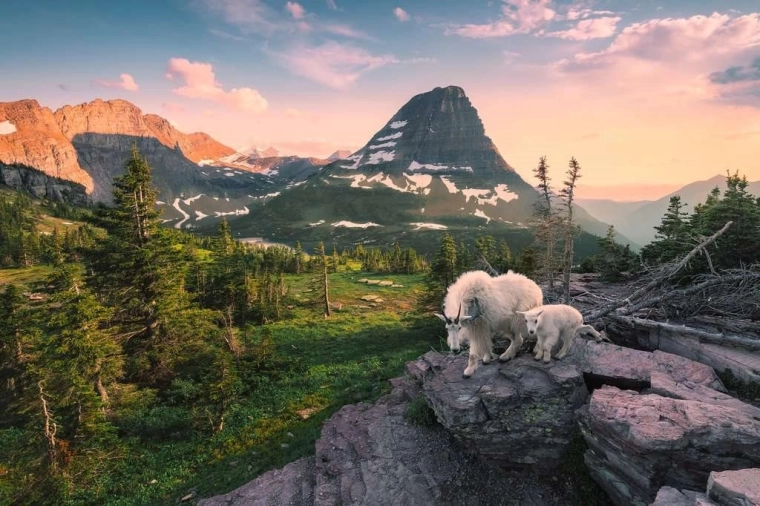 Impresionante motivo de los Alpes