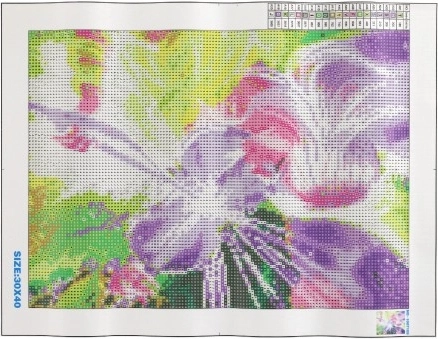 Lienzo preimpreso con leyenda clara