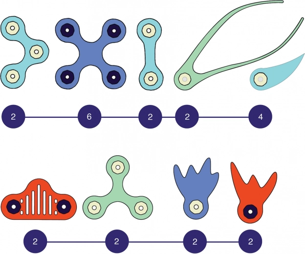 Formas flexibles e imanes potentes