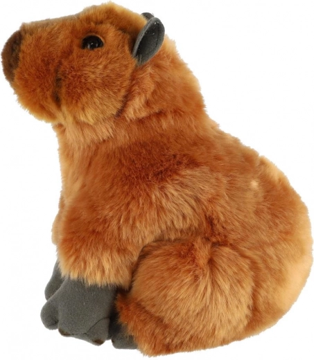 Elección segura desde el nacimiento