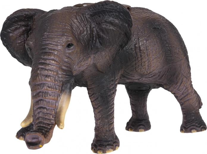 Detalles realistas y diseño robusto