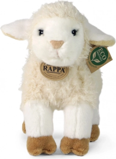 Colección exclusiva RAPPA