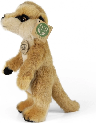 Relleno ECO‑FRIENDLY de botellas PET