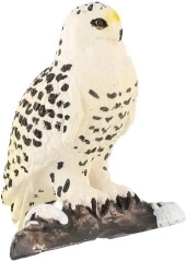 Detalles fieles del depredador ártico