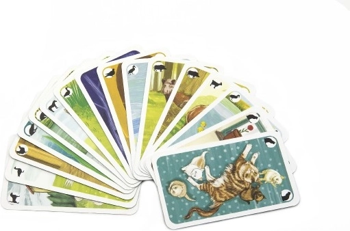 Ilustraciones hermosas