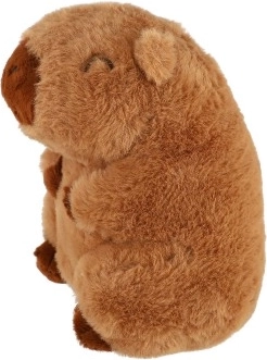 Seguro desde el nacimiento