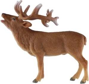 Plástico resistente para el juego diario