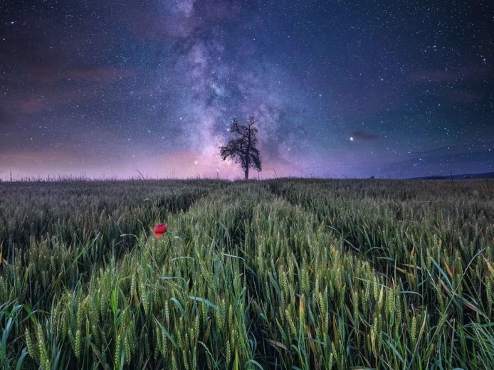 Fuerza de la naturaleza