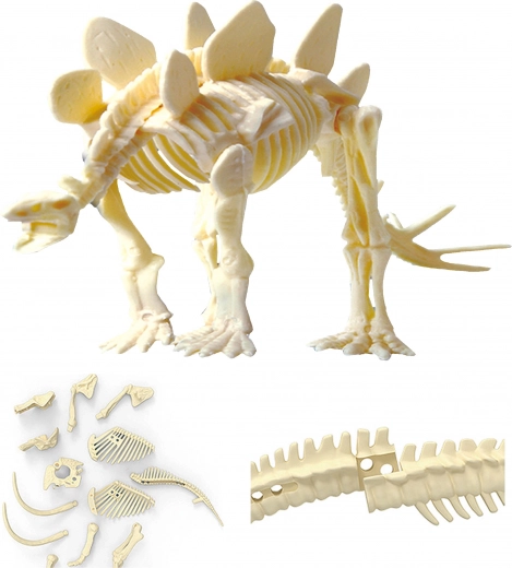 Monta un esqueleto REALISTA de ESTEGOSAURIO