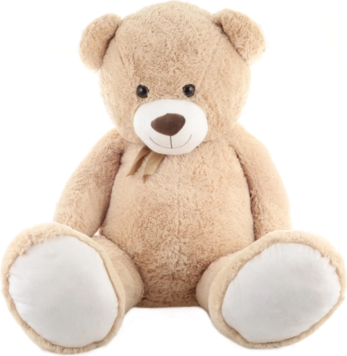 Lazo elegante y detalles adorables