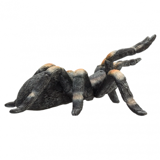 Uso universal: juego, colección y enseñanza