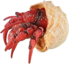 Tamaño compacto de 7 cm y uso versátil