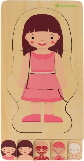 Anatomía por capas paso a paso