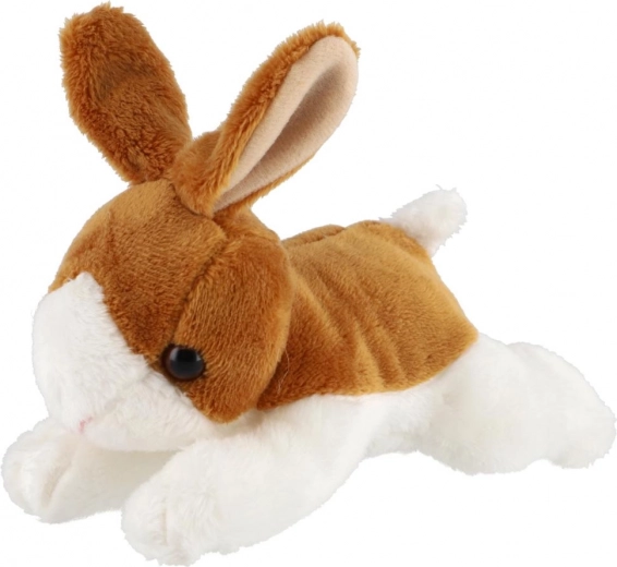 Detalles adorables y realistas