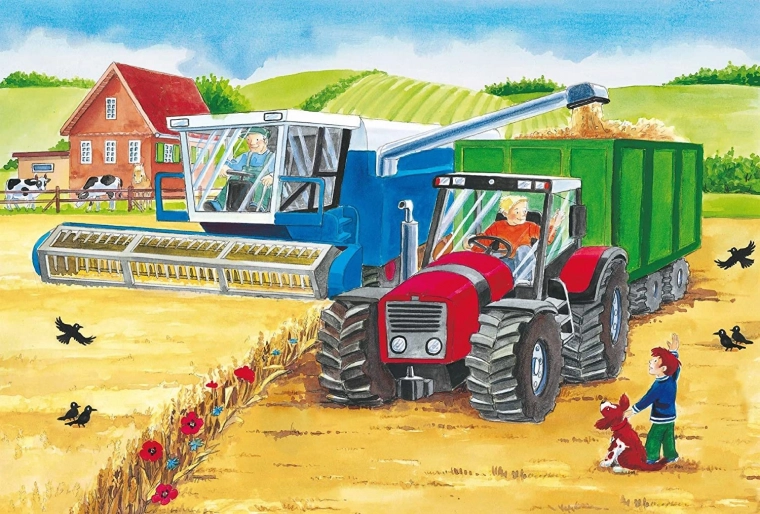 Granja viva en acción