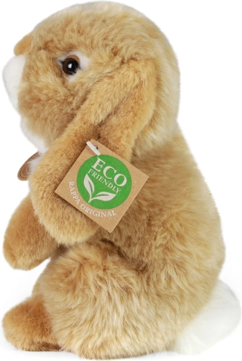 Apto para todas las edades