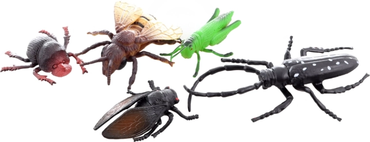 Aprender jugando para pequeños exploradores