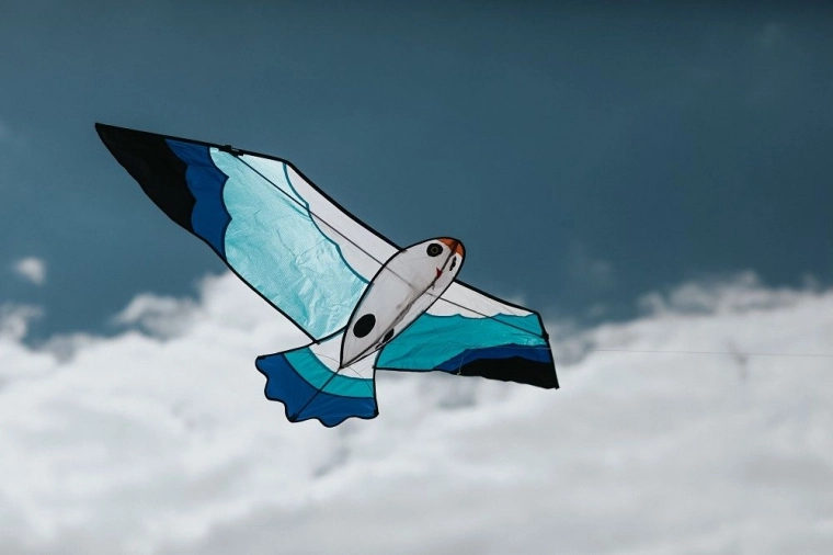 Ideal para viento 2–5 Bft