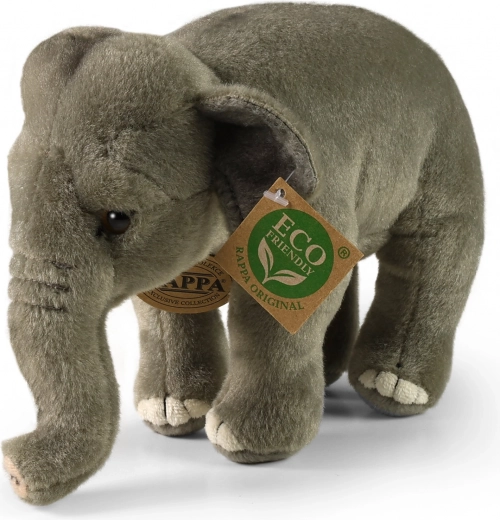 Relleno ECO FRIENDLY de PET reciclado