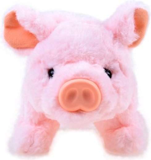 Acompañante adorable