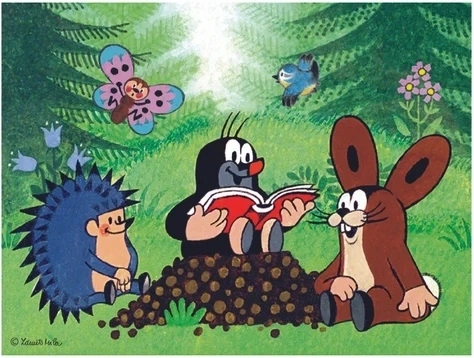 6 imágenes con 12 bloques