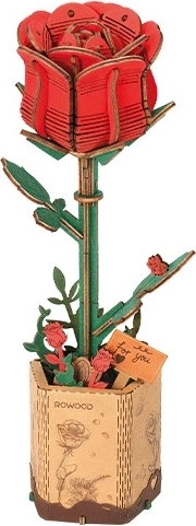 Aspecto realista único