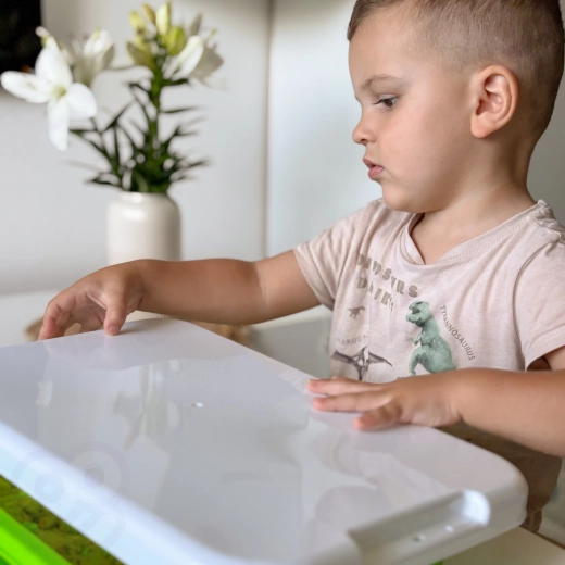 Caja portátil con bandeja de mesa