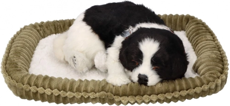 Camita suave para máxima comodidad