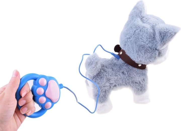 Caminar con correa y manejo sencillo