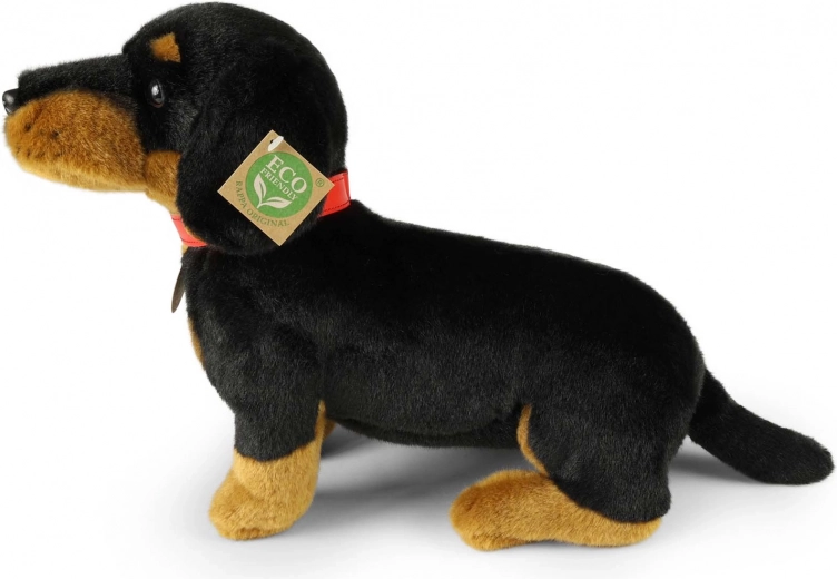 Diseño seguro para niños desde el nacimiento