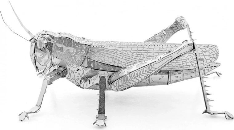 Ingenioso sistema de anclajes sin pegamento