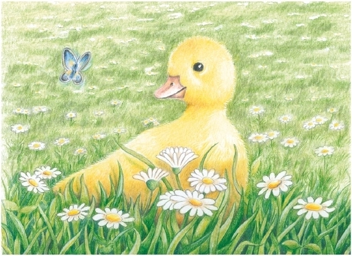 Ilustraciones realistas: patito