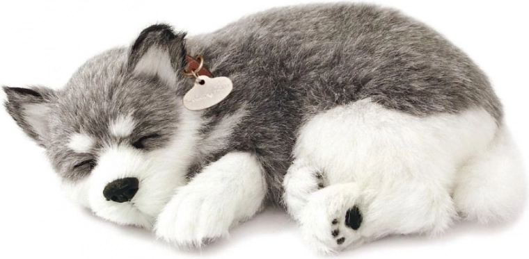 Respiración realista y aspecto tierno