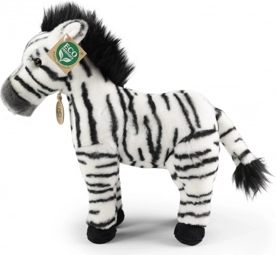 Seguro desde el nacimiento