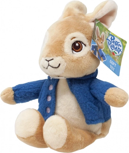 Chaquetita azul