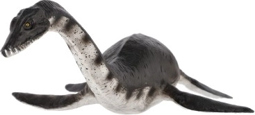 Ideal para educación y colecciones