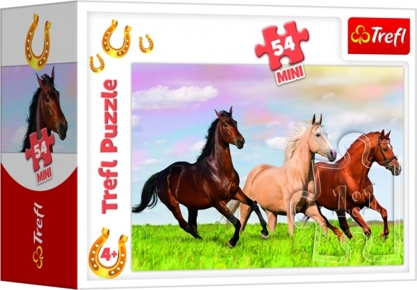 Hermosos motivos de caballos