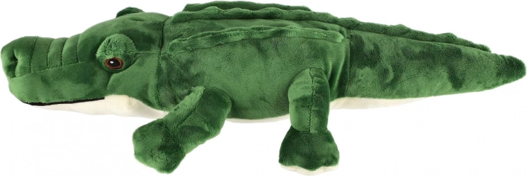 Seguro para bebés