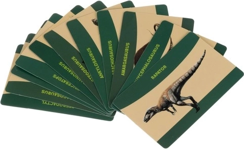 Tarjetas educativas de dinosaurios