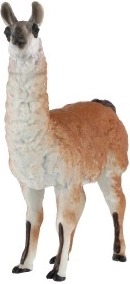 Ideal para la enseñanza y como decoración