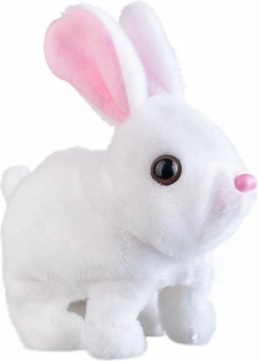 Salta, mueve las orejas y habla