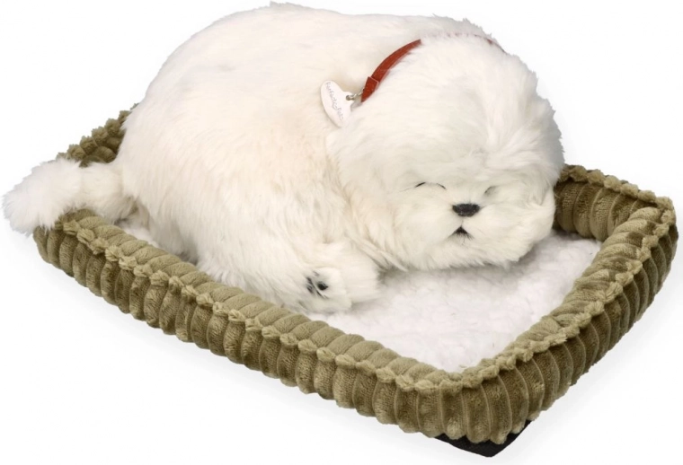 Camita suave para una comodidad perfecta