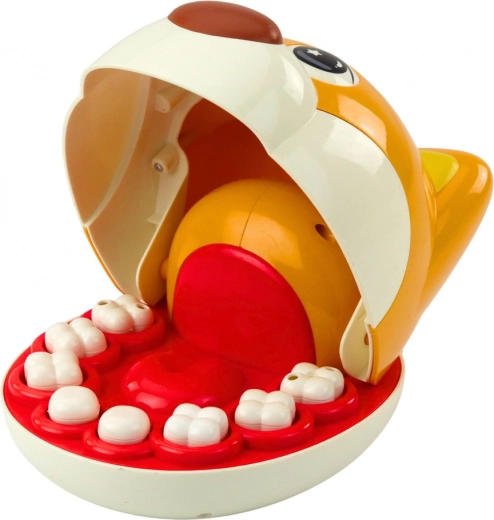 8 dientes extraíbles y herramientas realistas