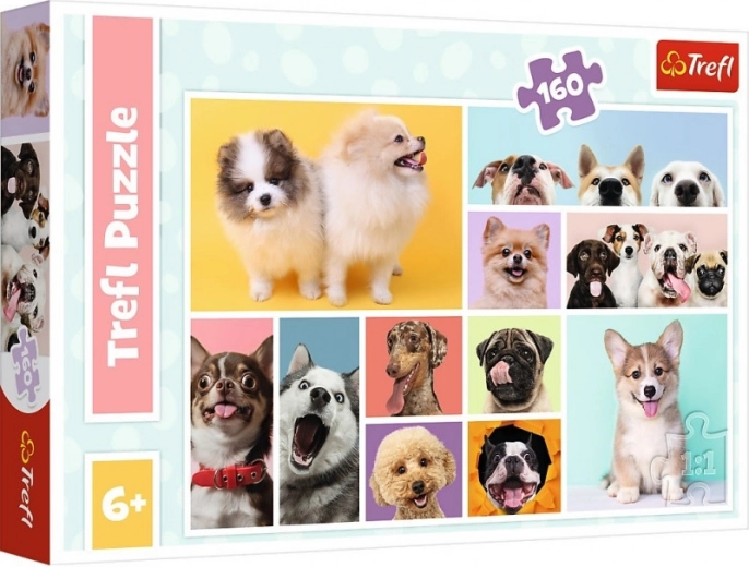 Diseño increíble con perritos