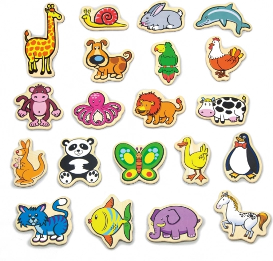 Figuras magnéticas coloridas