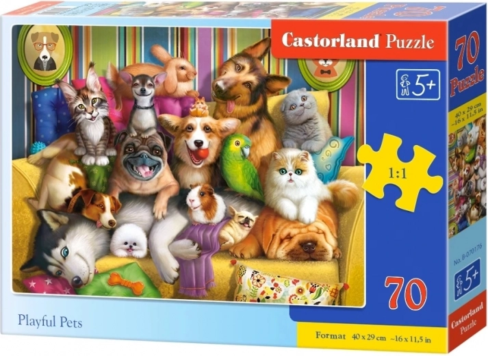 Divertido motivo de mascotas