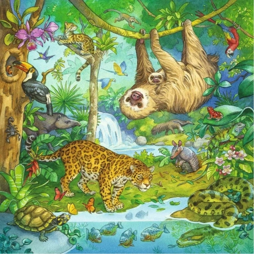 Coloridas escenas de la jungla tropical