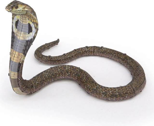 Pose flexible e impactante de la cobra